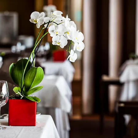 Sao Felix Hillside & Nature